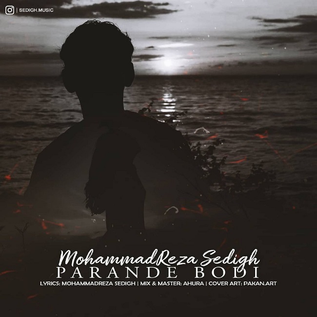 دانلود آهنگ پرنده بودی دانلود آهنگ پرنده بودی